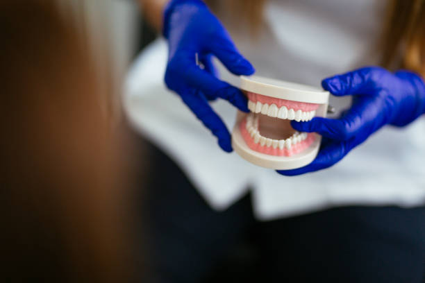 Trusted Naranja, FL  Holistic Dental Services Experts